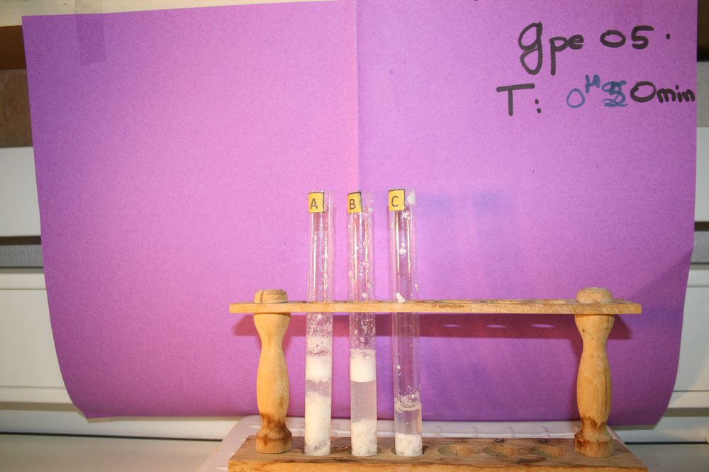 gal/LES_CINQUIEMES/ACTIVITE DIGESTION IN VITRO/Groupe_05/Groupe05_T_00h50min/Groupe05_T_00h_50min_24.JPG